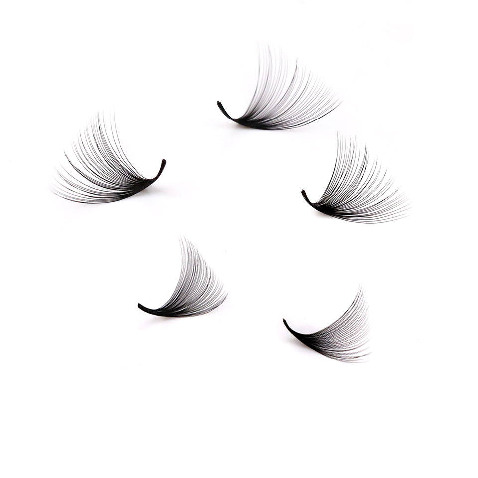 Lashprofessor XL Tray 3D 4D 5D - Eyelash Extension Russian review and price