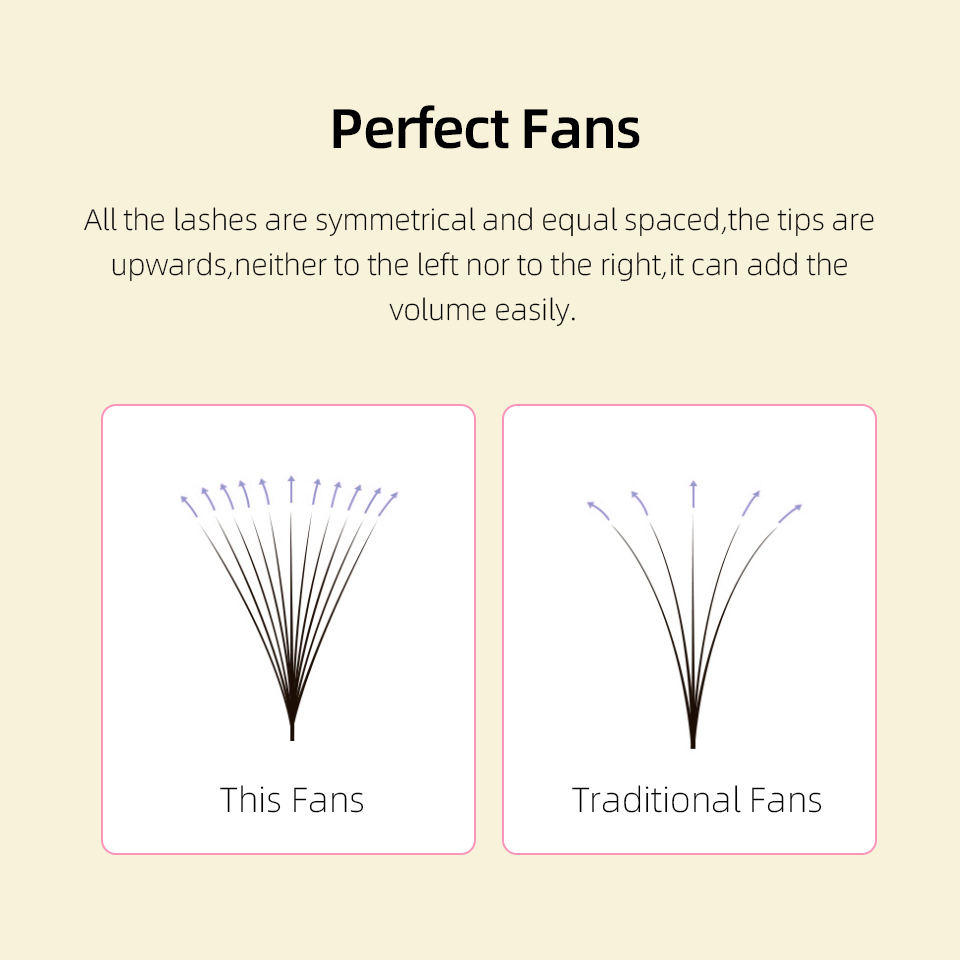 Lashprofessor XL Tray 3D 4D 5D - Eyelash Extension Russian review and price
