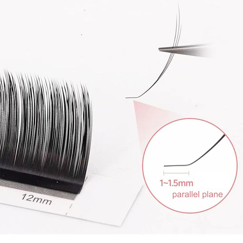 dream ballet Camellia Lashes w - Eyelash Extension Russian review and price