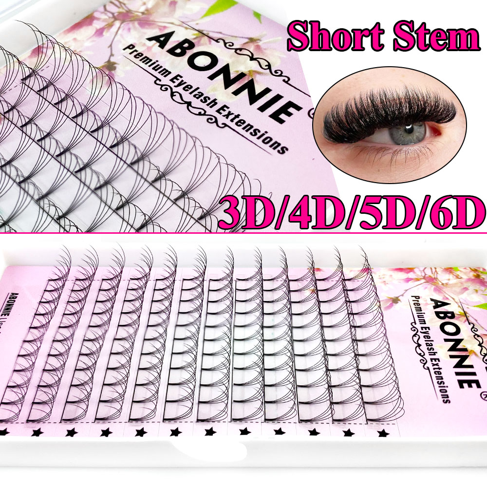 Abonnie 6D Narrow Fan Premade  - Eyelash Extension Russian review and price