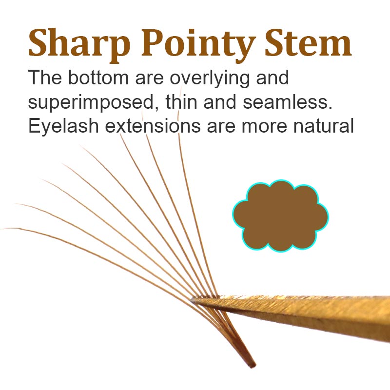 320 Colored Pointy Base Brown  - Eyelash Extension Russian review and price